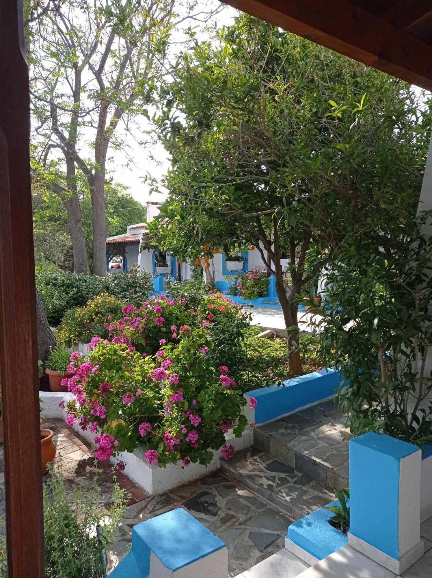 Studios Ioanna Limnionas Samos Marathókampos Exterior photo