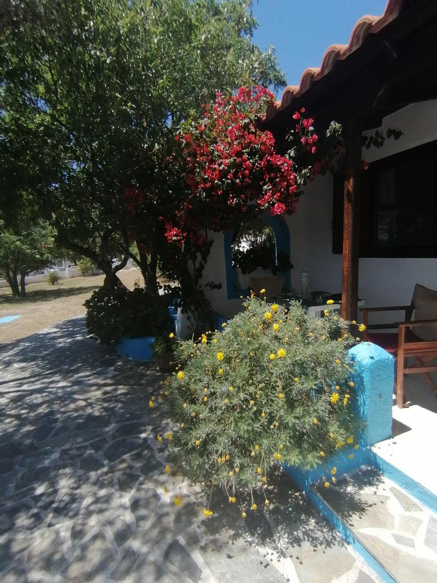 Studios Ioanna Limnionas Samos Marathókampos Exterior photo