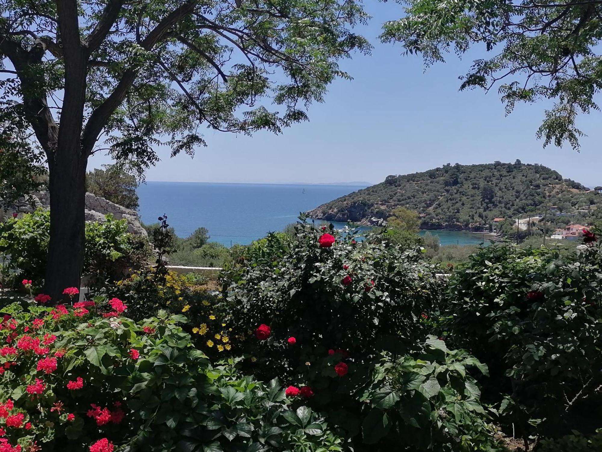 Studios Ioanna Limnionas Samos Marathókampos Exterior photo
