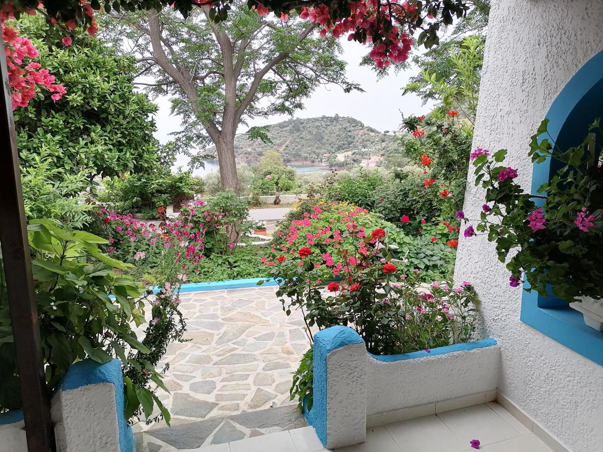 Studios Ioanna Limnionas Samos Marathókampos Exterior photo